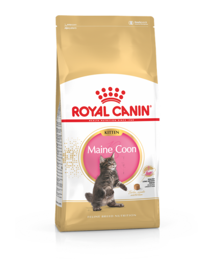  Роял Канин/Royal Canin Мэйн Кун Киттен корм для котят  400гр с 4-х до 12 месяцев*10