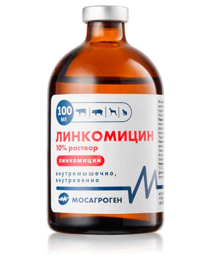  Линкомицин 10%  100 мл